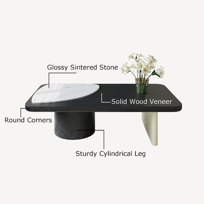 Table basse moderne en bois, table rectangulaire noire pour salon