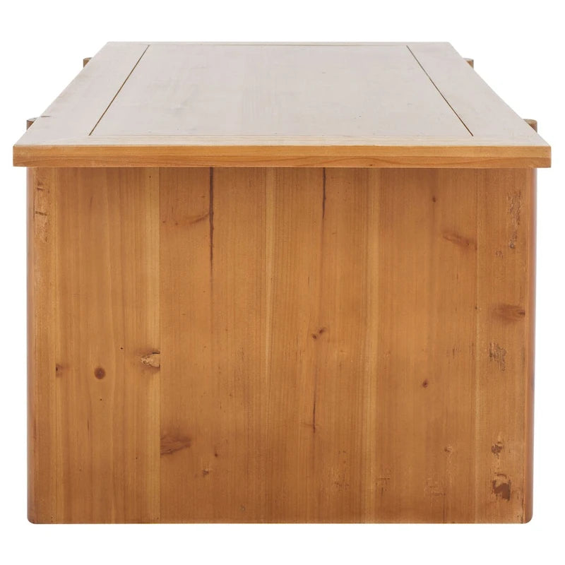 Table basse rectangulaire SAFAVIEH Meadhbh - 47 cm L x 23 cm P x 18 cm H